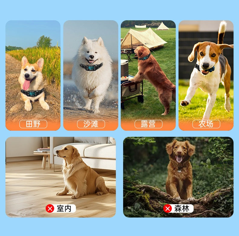 PawTronic GPS Fence Collar