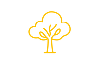 Any-Angle Projection