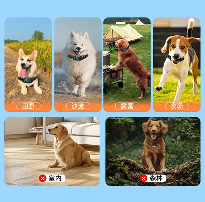 PawTronic GPS Fence Collar